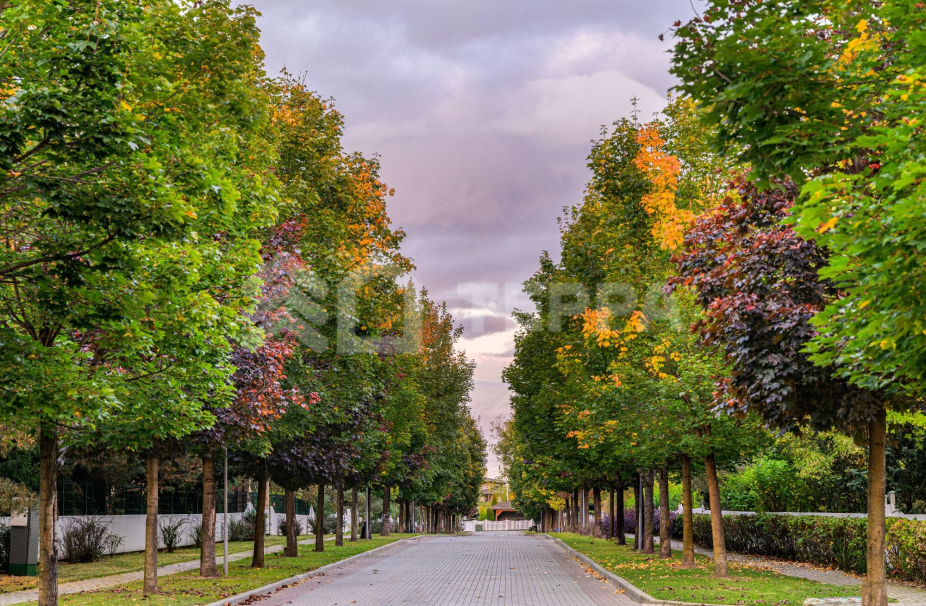 Объект ID 18889 - Участок