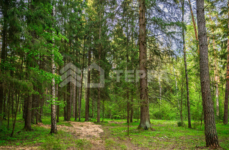 Объект ID 18771 - Участок