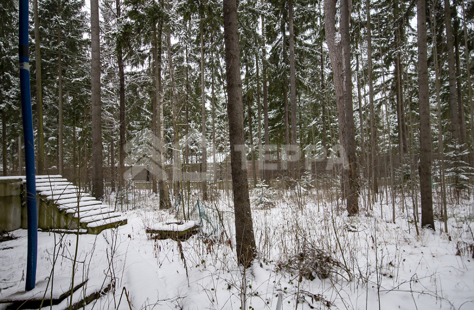 Объект ID 15950 - Дом