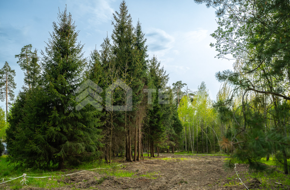 Объект ID 18567 - Участок