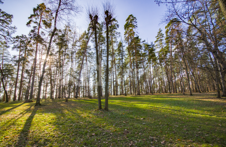 Объект ID 18287 - Участок