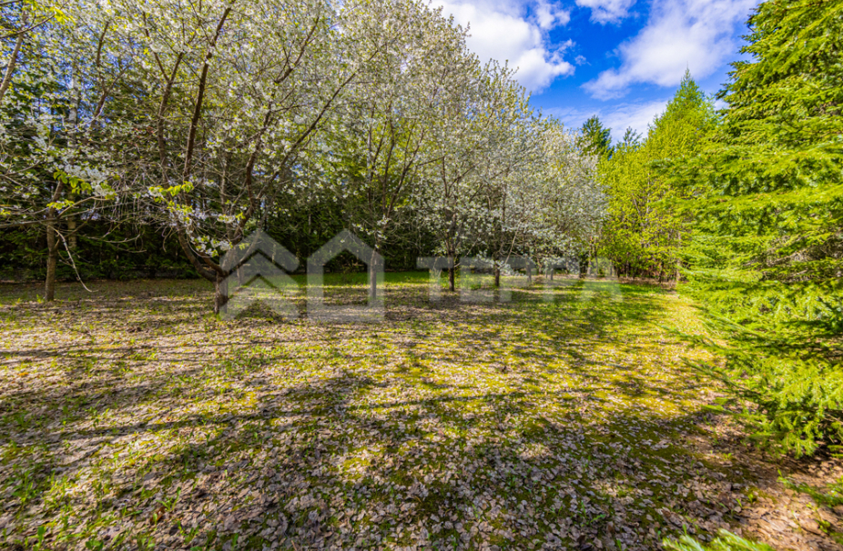 Объект ID 18583 - Участок