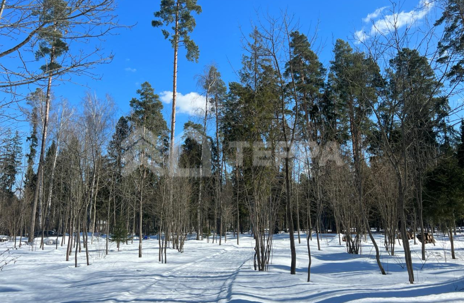 Никологорский парк