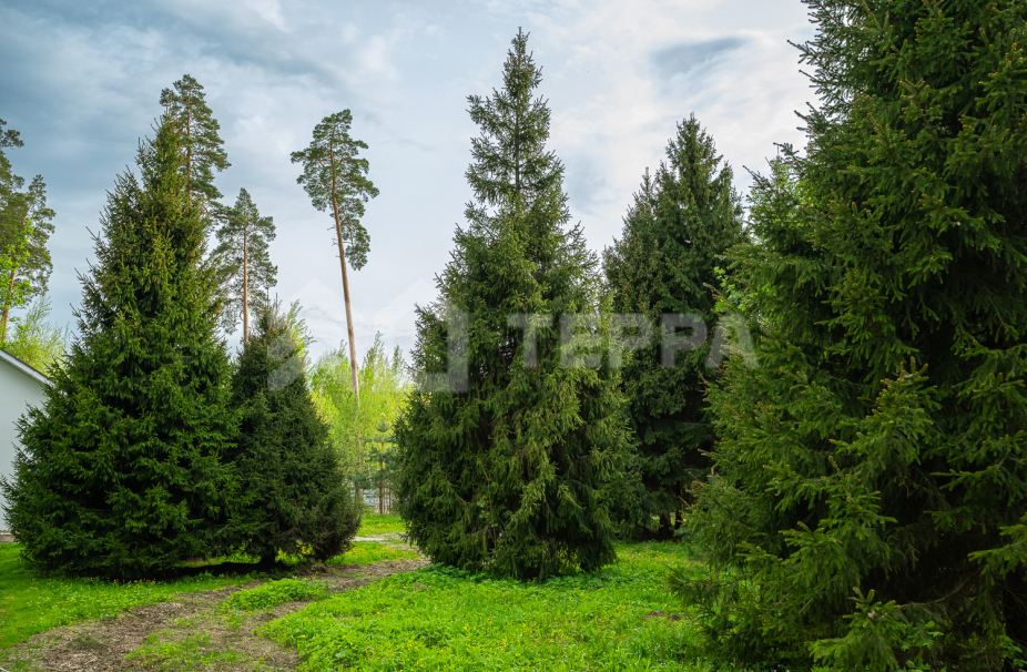 Объект ID 18565 - Участок