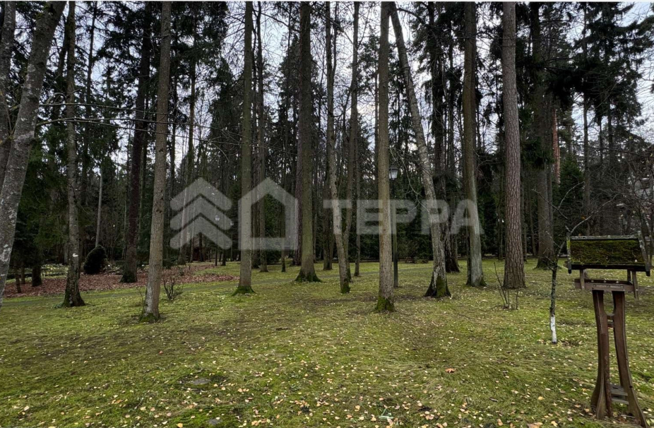 Объект ID 18250 - Дом