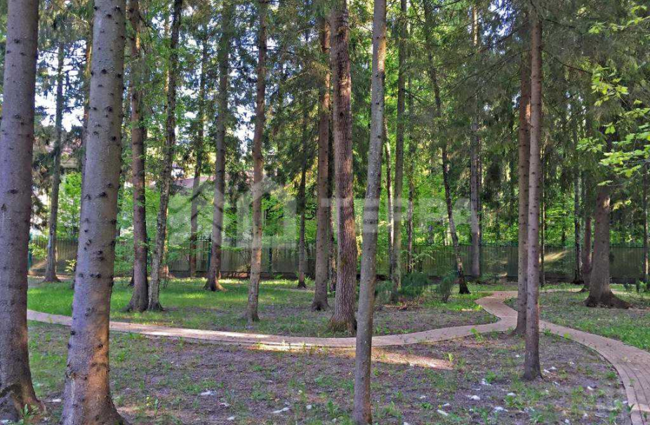 Объект ID 14666 - Дом