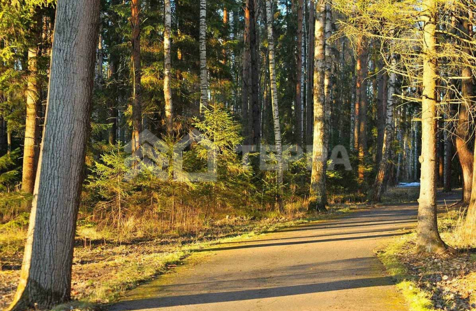 Объект ID 19139 - Дом