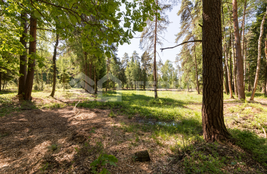 Объект ID 18069 - Участок