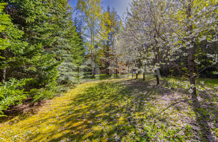 Объект ID 18583 - Участок