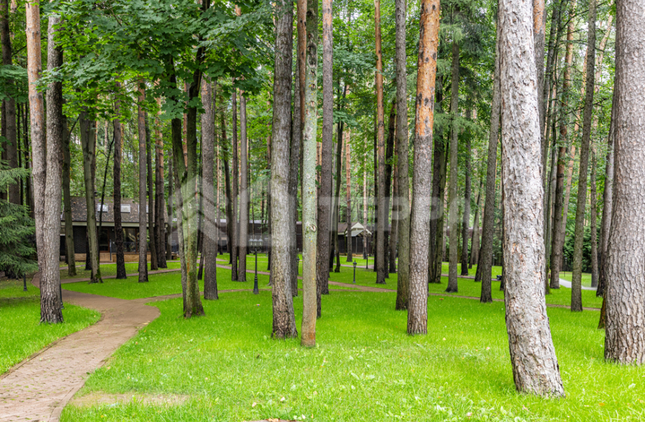 Объект ID 18513 - Дом