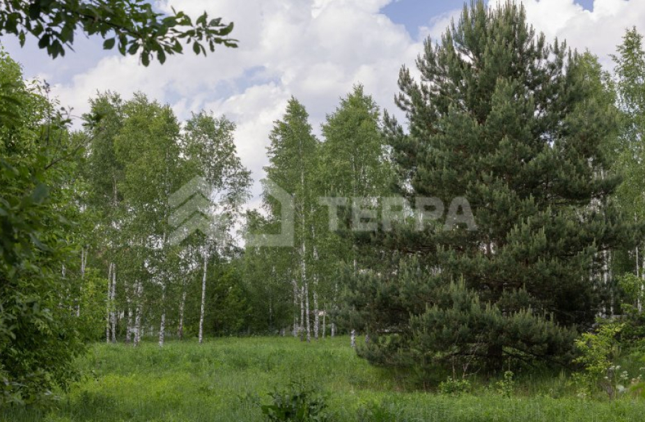 Ильинский ландшафт - 2