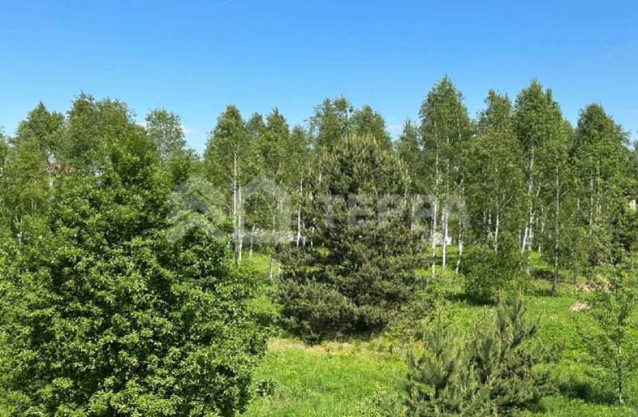 Ильинский ландшафт - 2