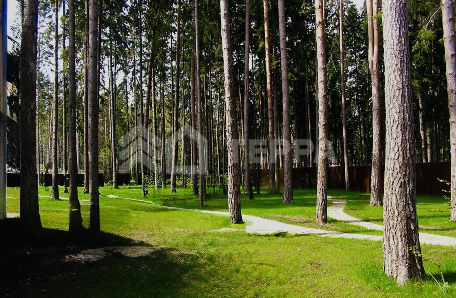 Объект ID 19113 - Участок