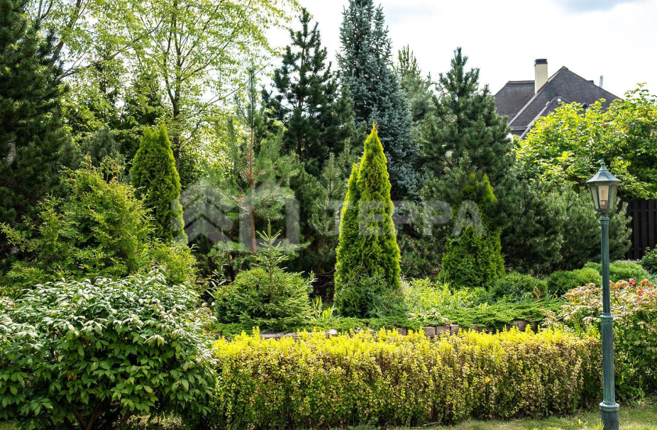 Объект ID 18638 - Дом