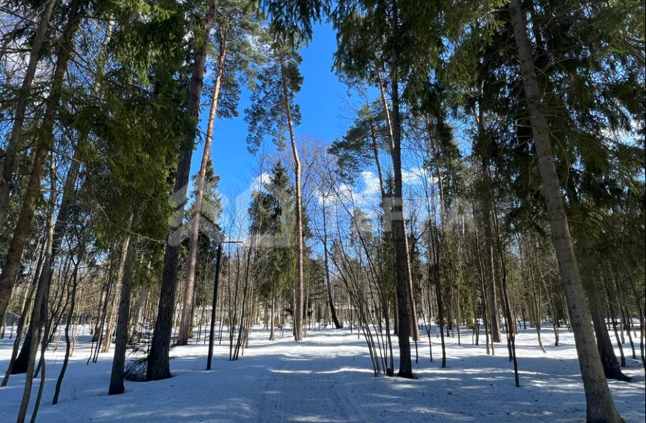 Объект ID 17960 - Участок