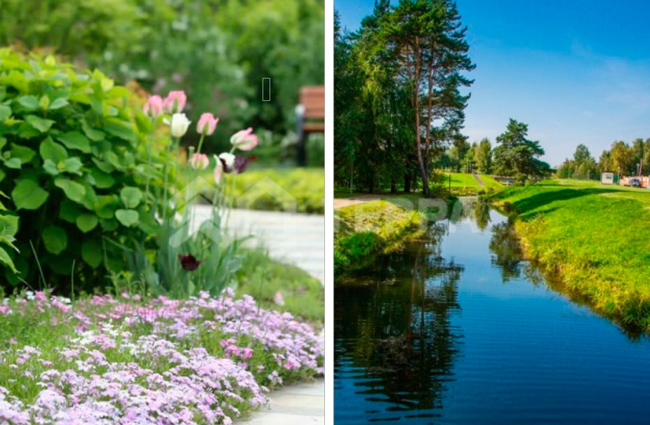 Объект ID 16574 - Дом