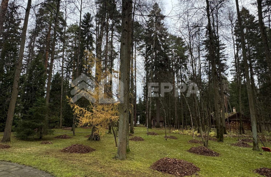 Объект ID 18250 - Дом