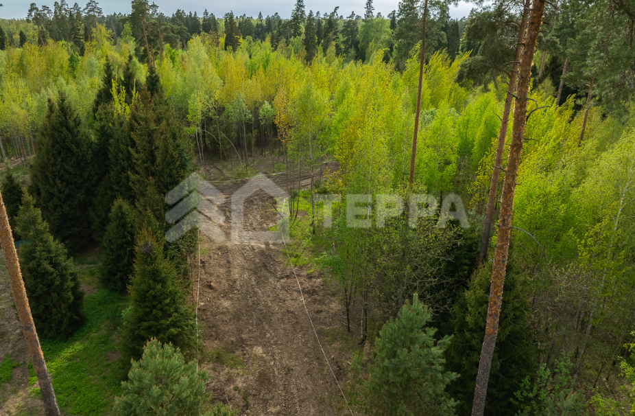 Объект ID 18569 - Участок