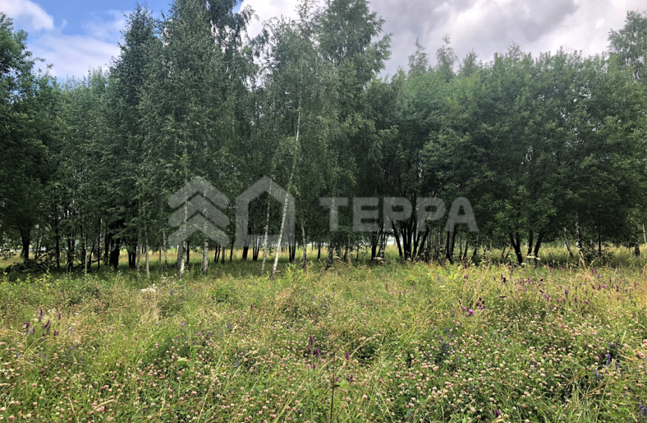 Объект ID 15707 - Участок