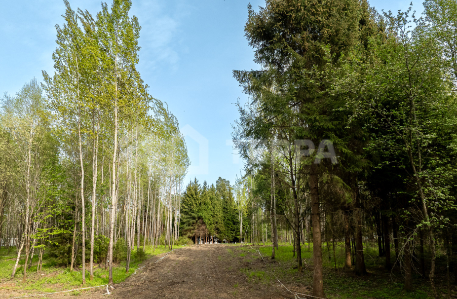 Объект ID 18567 - Участок