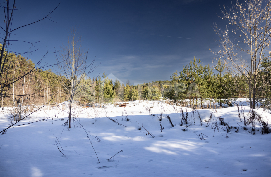 Объект ID 17973 - Участок