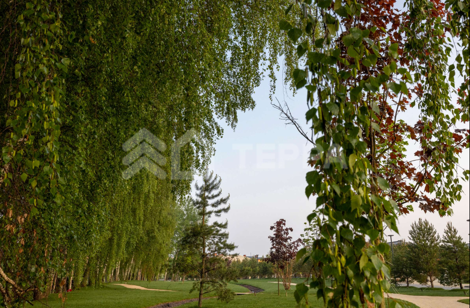 Кристалл Истра