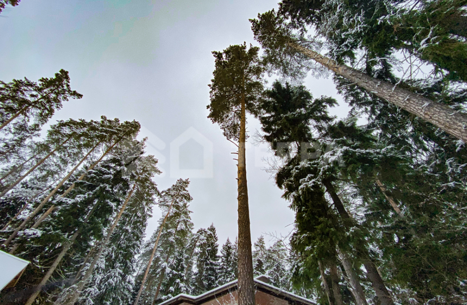 Объект ID 13715 - Дом