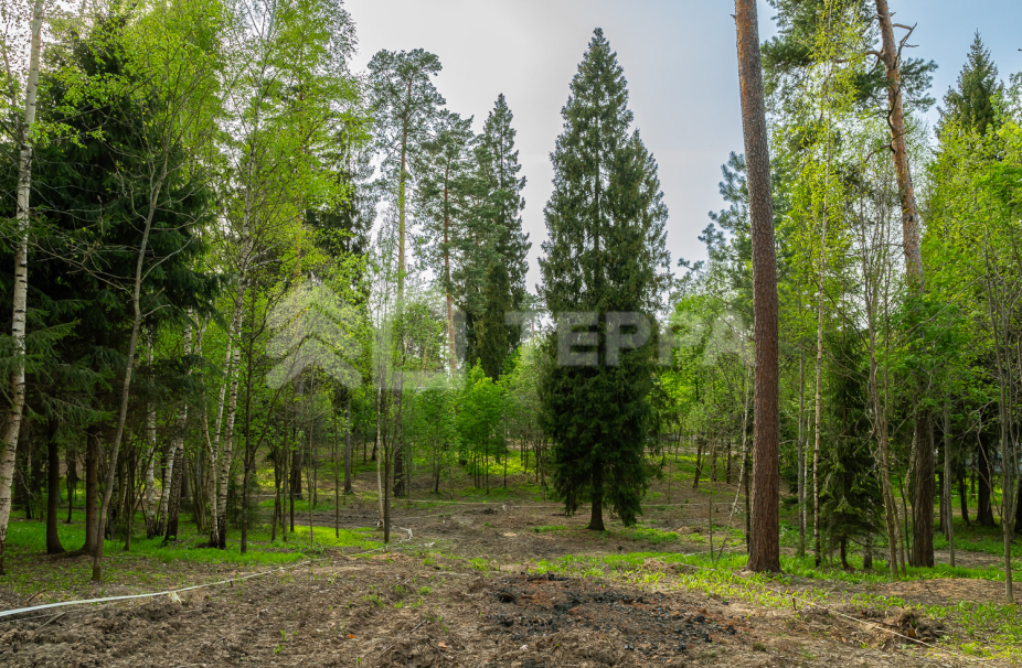 Объект ID 18568 - Участок