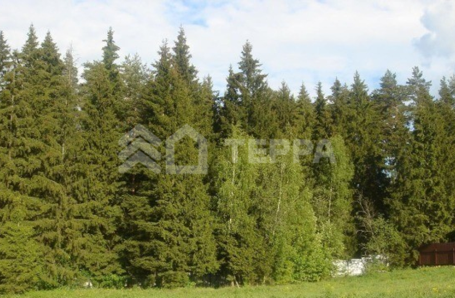 Объект ID 8049 - Участок