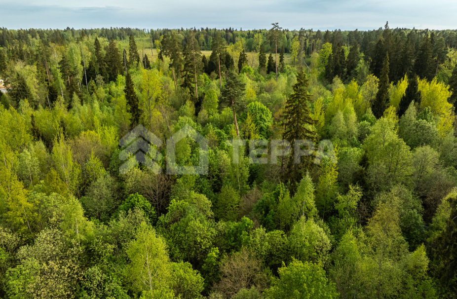 Объект ID 18487 - Участок