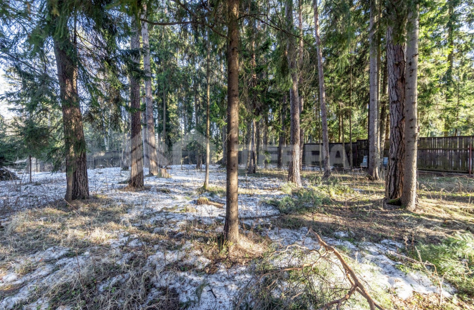 Объект ID 19114 - Дом