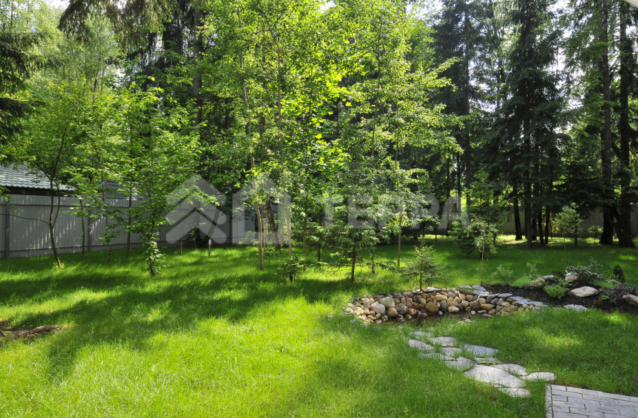 Объект ID 13519 - Дом