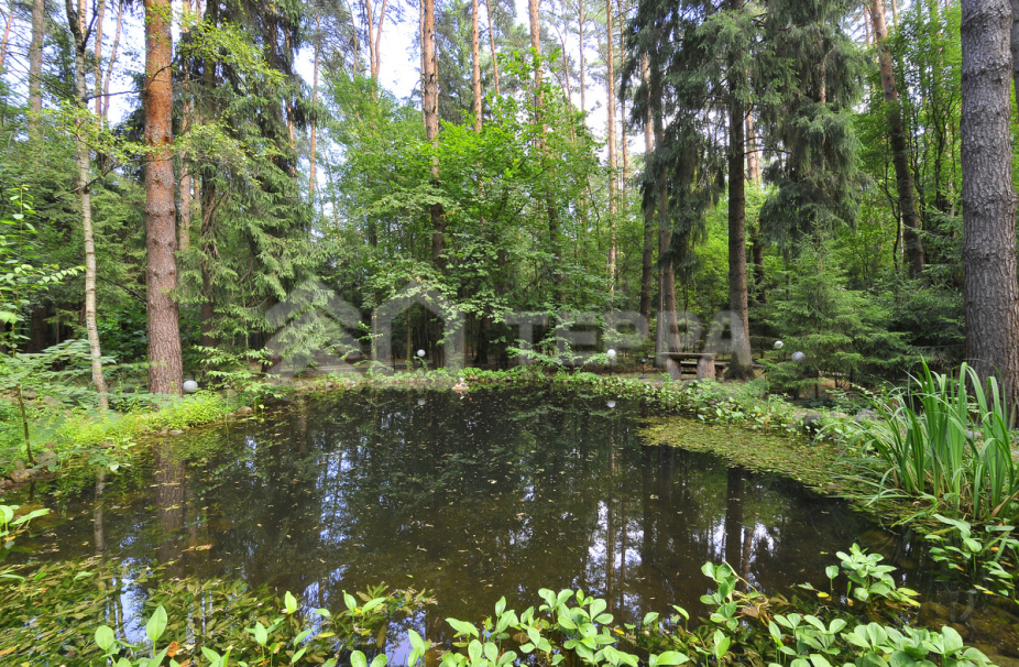 Объект ID 9395 - Дом