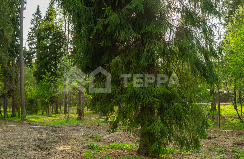 Объект ID 18566 - Участок