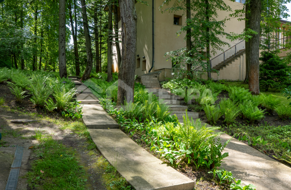 Объект ID 8224 - Дом