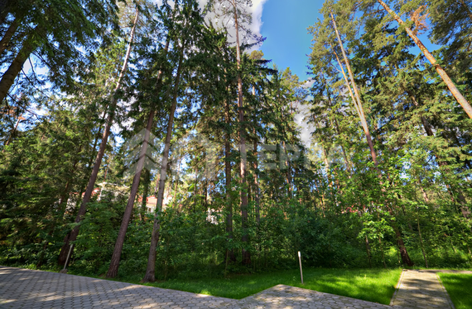 Объект ID 6014 - Дом