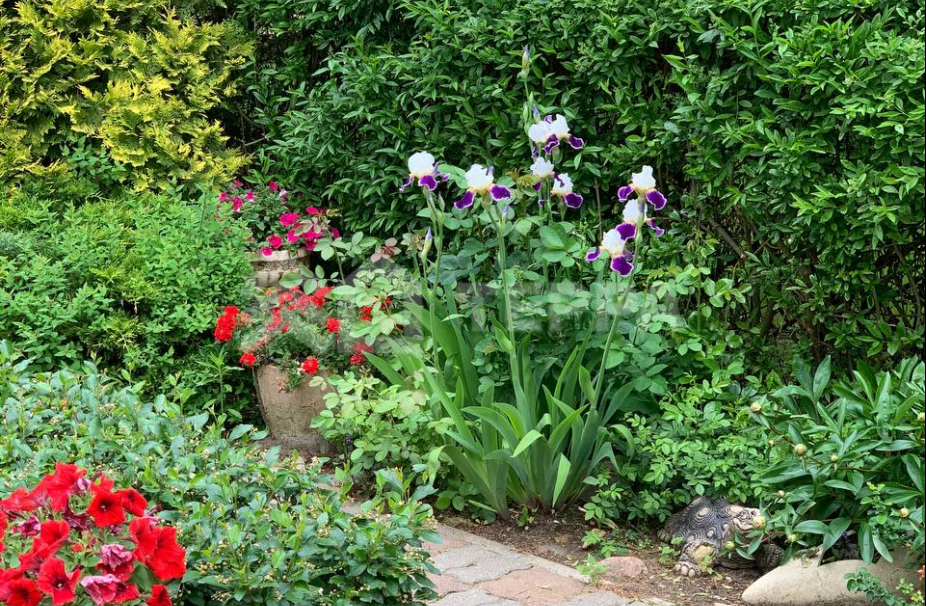 Объект ID 6324 - Дом