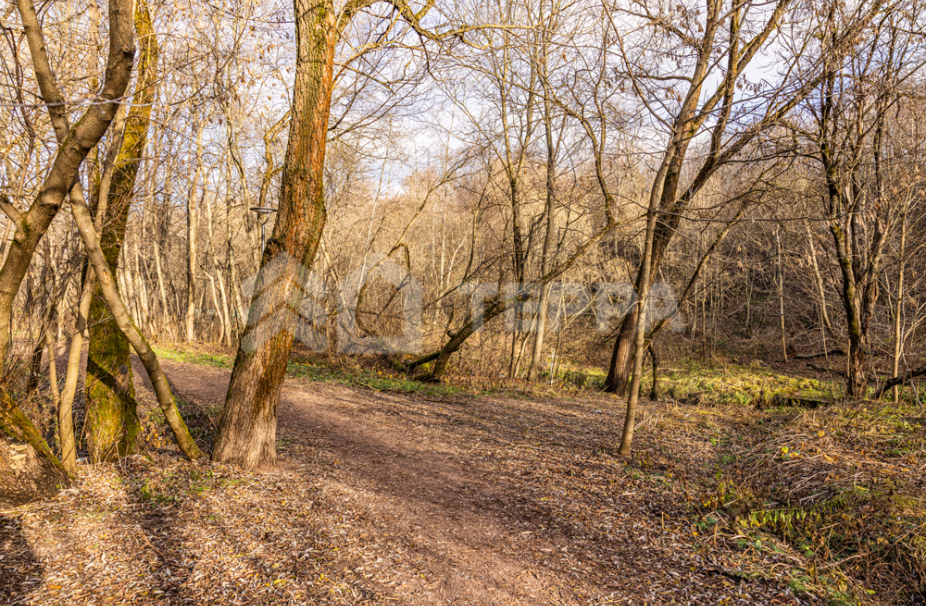 Объект ID 18292 - Участок