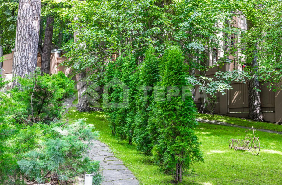 Объект ID 6404 - Дом