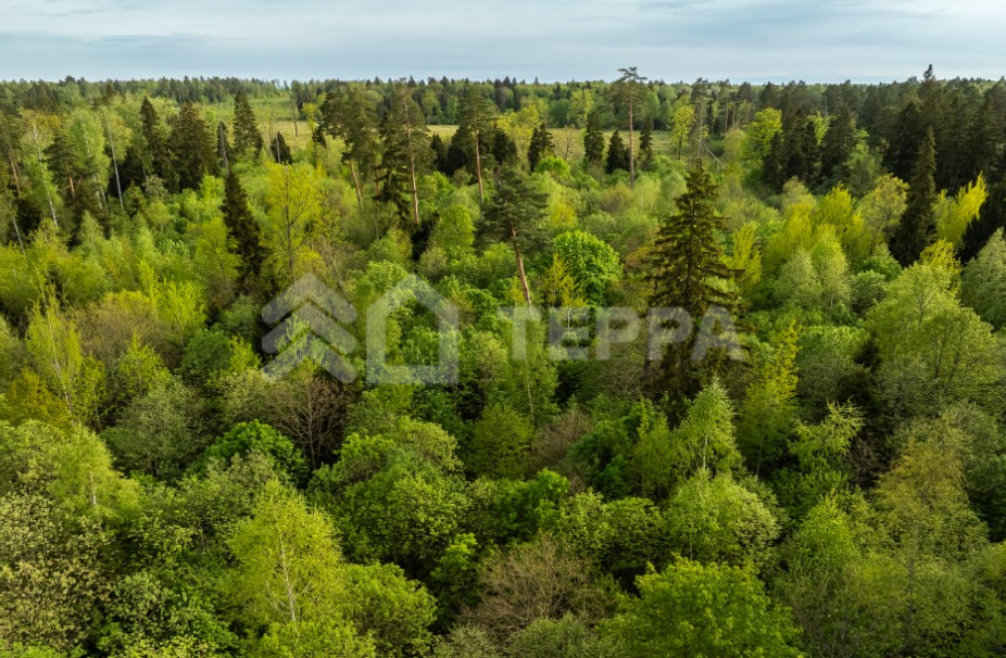 Объект ID 19290 - Участок