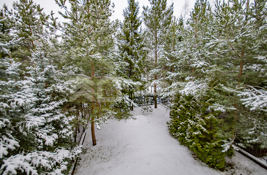 Объект ID 15943 - Таунхаус