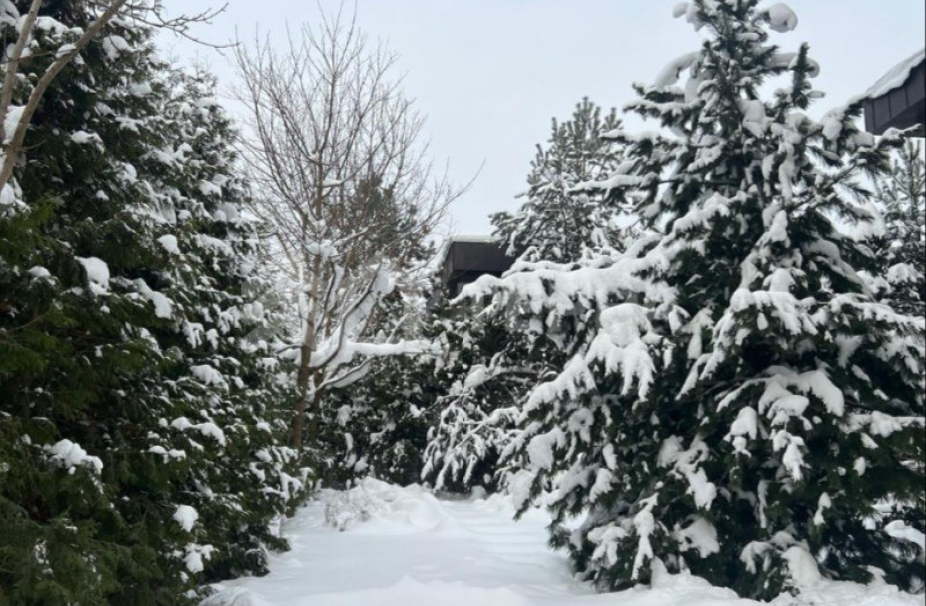 Объект ID 19052 - Дом