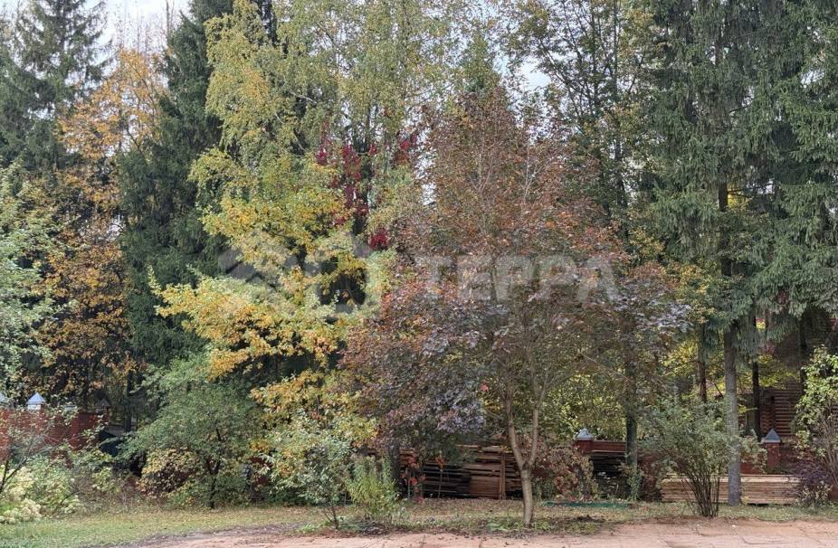 Объект ID 18216 - Участок