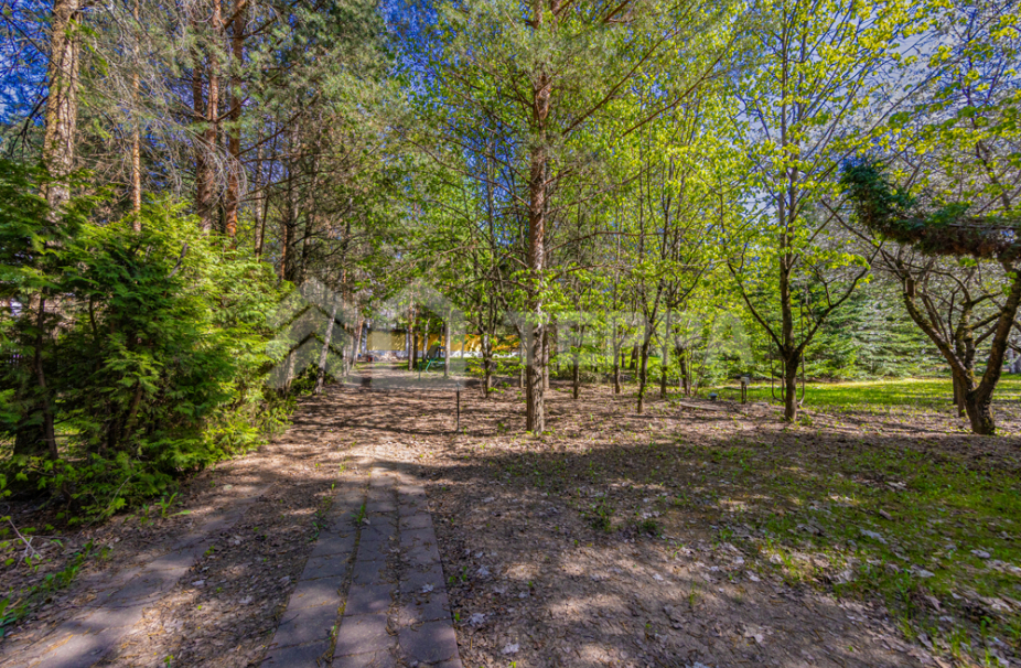 Объект ID 18583 - Участок