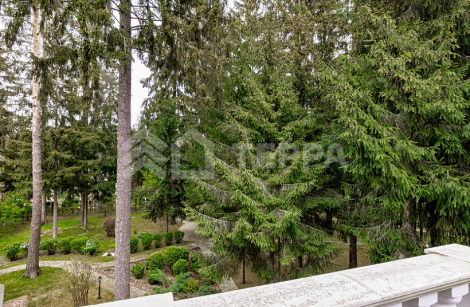 Объект ID 16506 - Дом