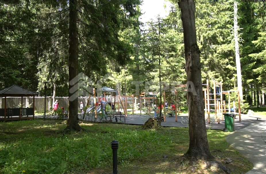 Ваутутинки