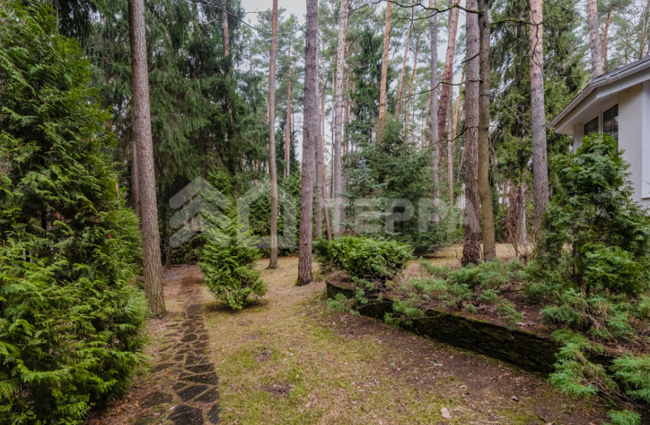 Объект ID 18511 - Дом