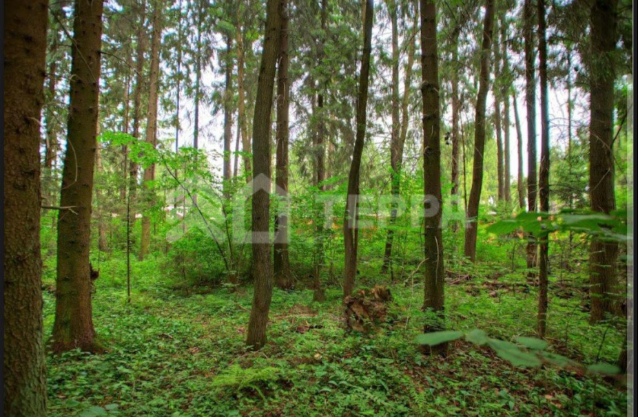 Объект ID 18753 - Участок