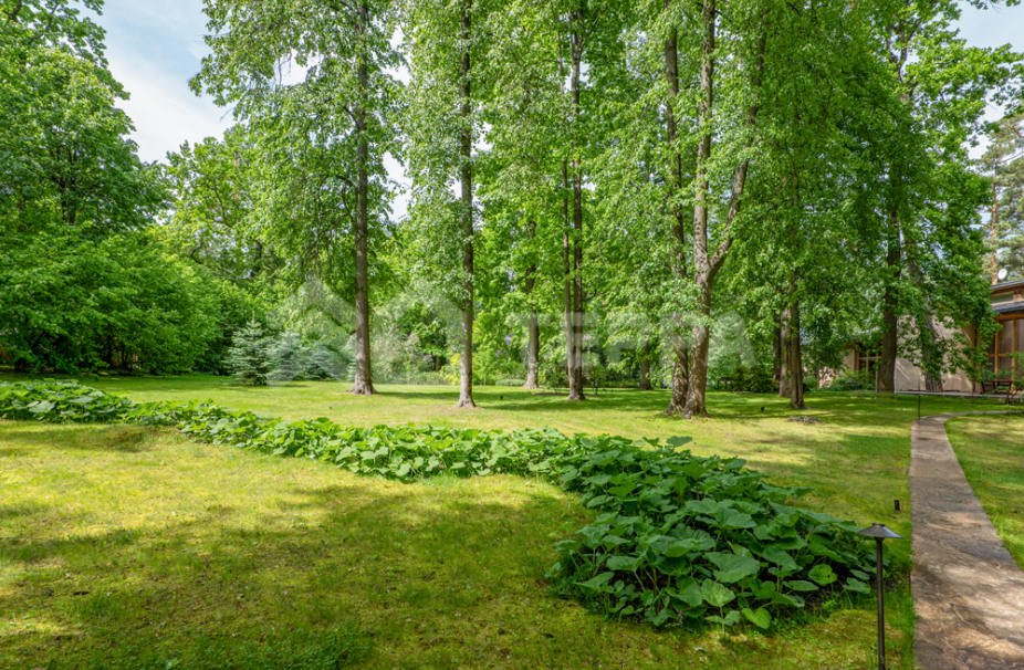 Объект ID 18661 - Участок