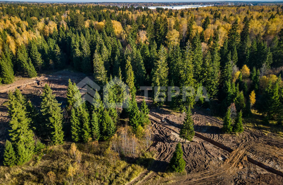 Объект ID 18177 - Участок